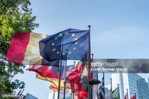 european national flags in front of european parliament building - european parliament stock pictures, royalty-free photos & images