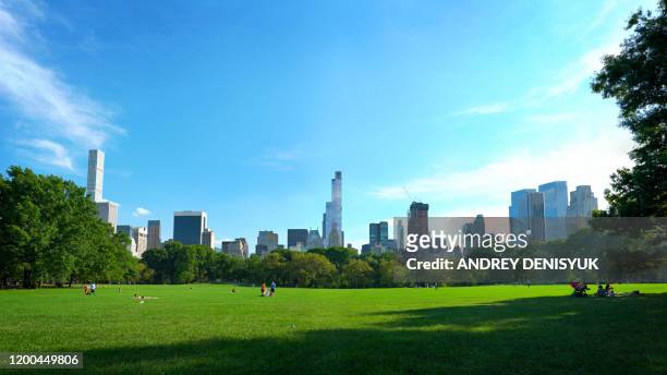 calm in central park. new york - central park view stock pictures, royalty-free photos & images