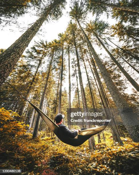 man resting on the hammock - archival camping stock pictures, royalty-free photos & images
