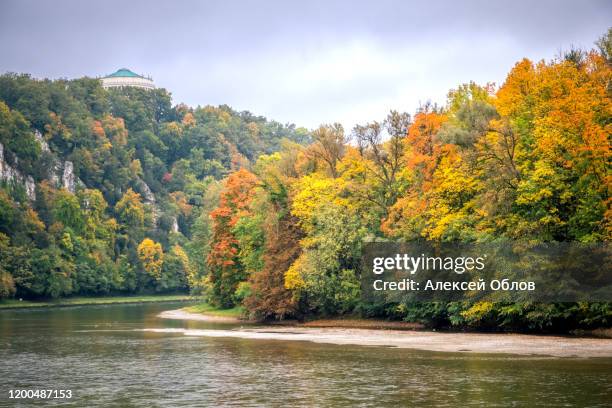 bright autumn. yellow and orange trees. kelheim, danube river, germany autumn - beautiful blue danube stock pictures, royalty-free photos & images