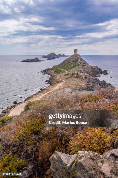 aerial summer / autumn view of the iles sanguinaires (the blood islands) near ajaccio, with genoese watchtower and lighthouse, corsica, france, europe. - porto korsika stock-fotos und bilder