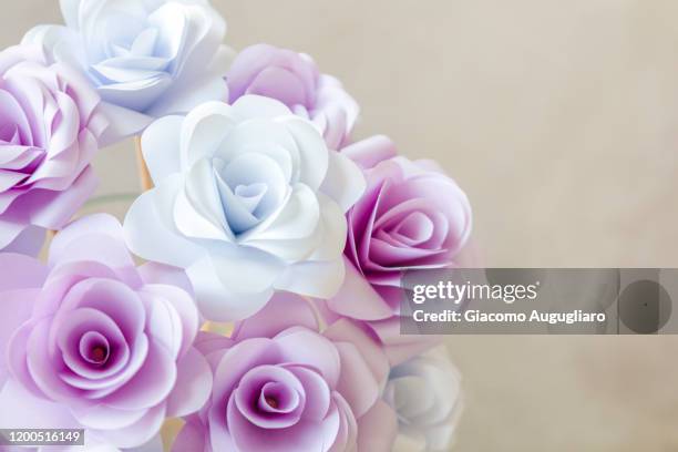 Paper Roses Violet 1,360 White Paper Flower Stock Photos, High-Res Pictures, and Images ...