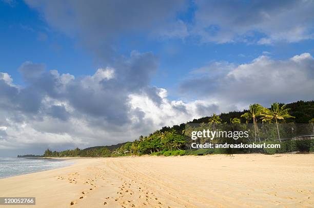 pipeline beach hawaii with clouds in evening light - andreaskoeberl stock-fotos und bilder