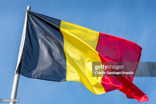 belgian flag - belgian culture stock pictures, royalty-free photos & images