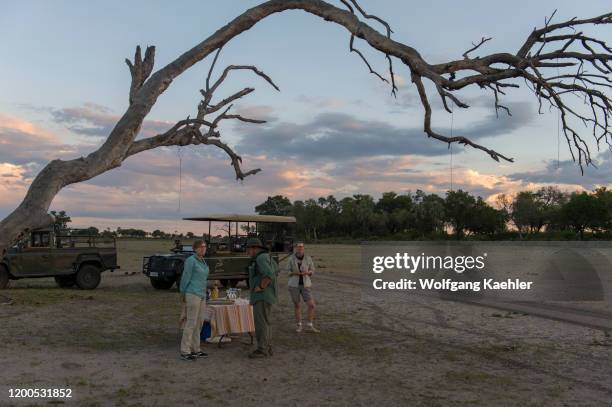 Tourists on safari in the Jao Concession, Okavango Delta, Botswana, enjoying sundowners at the end of a game drive in the evening.