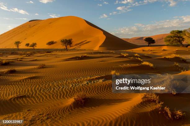 View of a pink sand dune with ripples in the sand at sunrise in the Sossusvlei area, Namib-Naukluft National Park in Namibia.