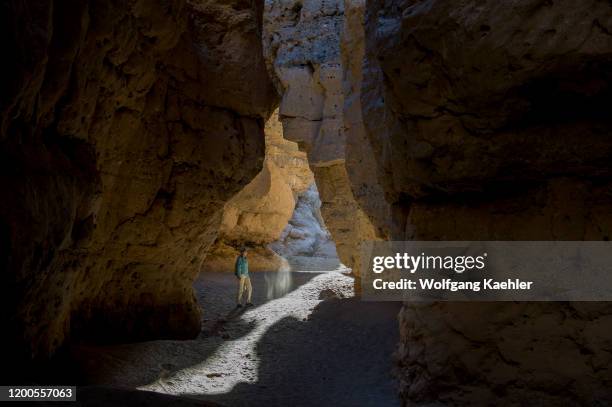 Tourist in the Sesriem Canyon, a canyon shaped over millions of years by the Tsauchab River in the Sossusvlei area, Namib-Naukluft National Park in...