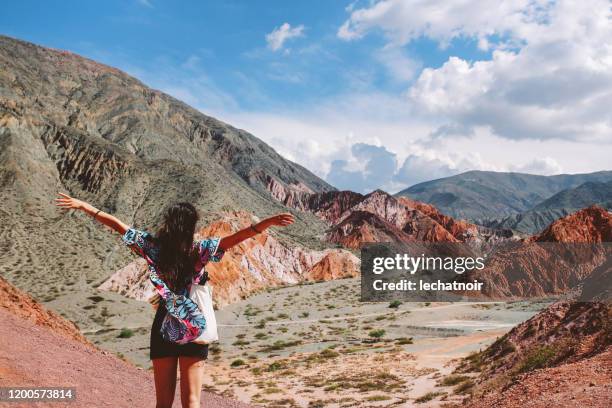 toeristische vrouw bewondert de bergen van argentinië - salta argentina stockfoto's en -beelden