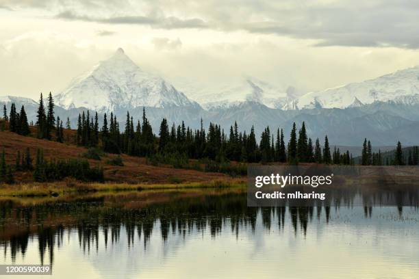 wonderlake reflection - alaska mountain range stock pictures, royalty-free photos & images