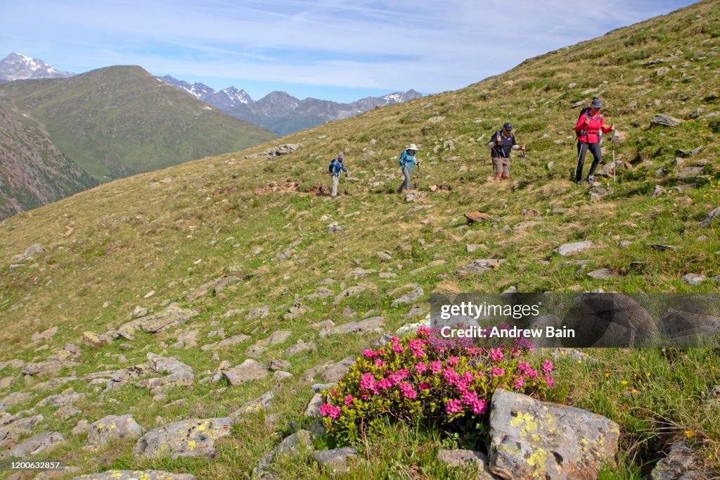 Hikers on the Defereggen Range