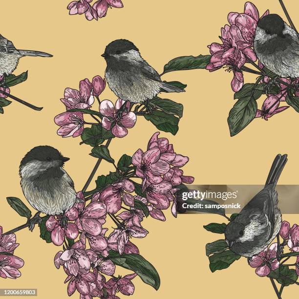 birds and blossoms seamless pattern - chickadee stock illustrations