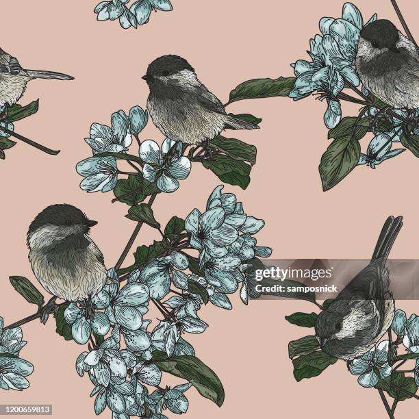 birds and blossoms seamless pattern - chickadee stock illustrations