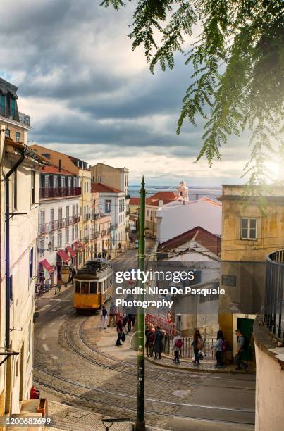 lisbon - narrow stock pictures, royalty-free photos & images