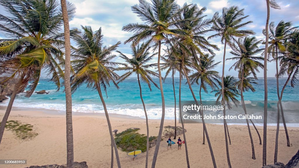 Barbados, Beach on the Atlantic Ocean