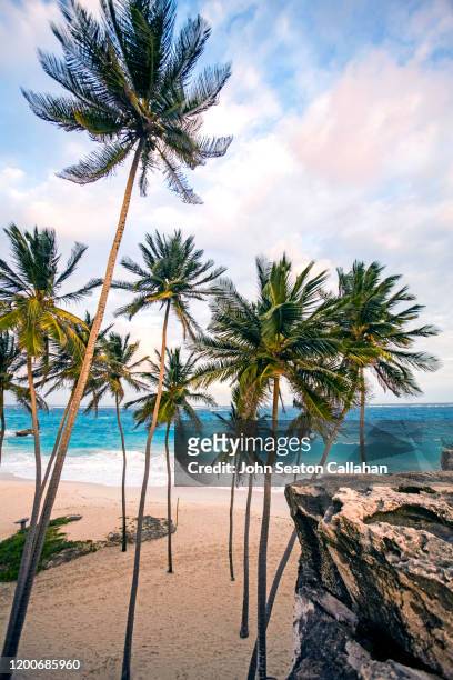 barbados, beach on the atlantic ocean - bridgetown barbados stockfoto's en -beelden