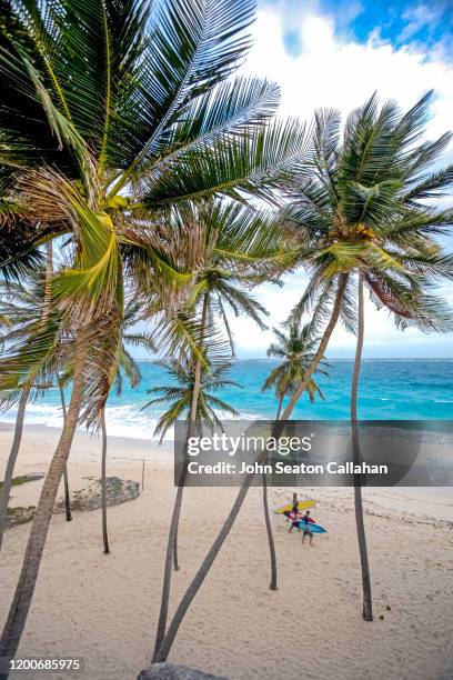 barbados, beach on the atlantic ocean - bridgetown barbados stockfoto's en -beelden