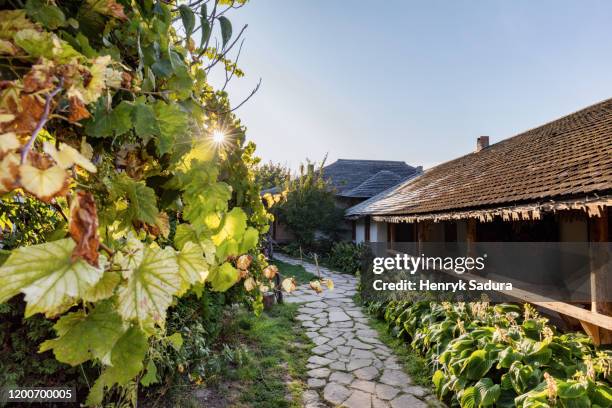 sunrise by the restaurant in butuceni - moldova city stock pictures, royalty-free photos & images