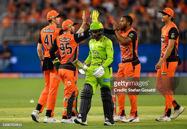 Chris Jordan of the Scorchers celebrates after taking the wicket of Arjun Nair of the Thunder during the Big Bash League match between the Perth...