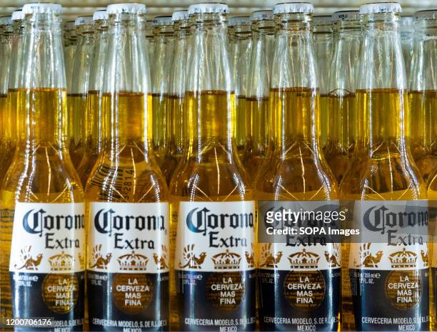 Bottles of Corona beer by Grupo Modelo extra beer are seen on a shelf.