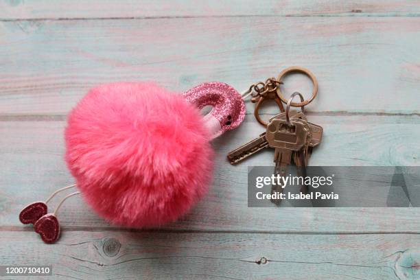 flamingo keychain with set of keys - sleutelring stockfoto's en -beelden