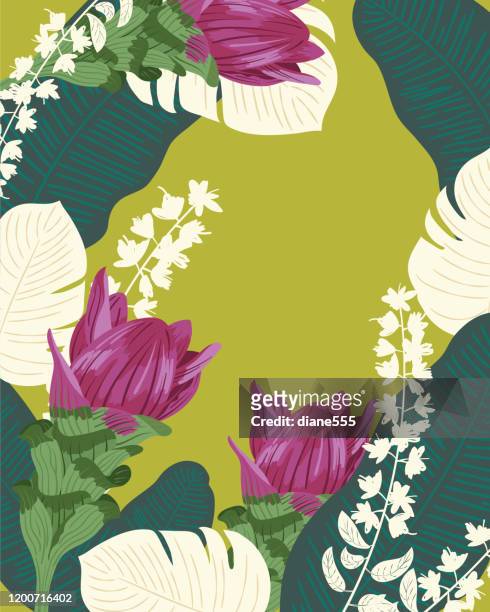 illustrations, cliparts, dessins animés et icônes de fleur de plante de curcuma avec des lames tropicales - curcuma fleur