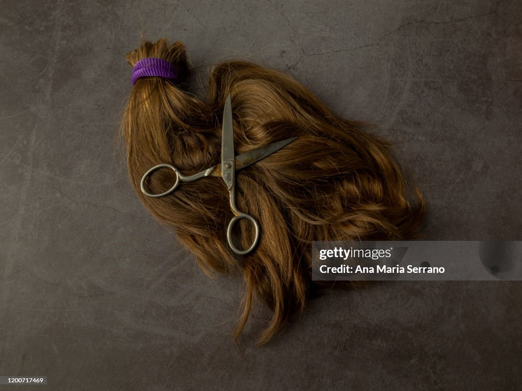 A bunch of blond hair tied with a purple rubber and old scissors against a gray background in vintage style