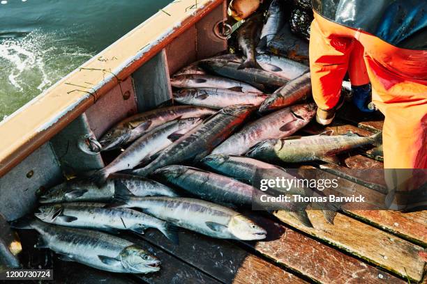 69 Pacific Fresh Fish Company Stock Photos, High-Res Pictures, and Images -  Getty Images