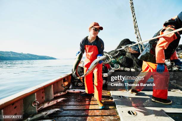 crew members of fishing boat putting salmon in hold after catch - rede de pesca comercial imagens e fotografias de stock
