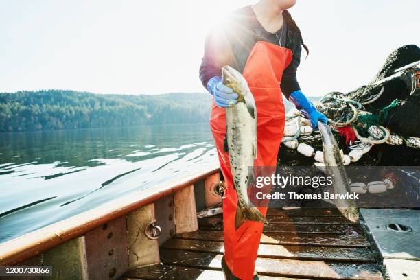 female crew member of fishing boat carrying salmon to hold of boat - fischereinetz stock-fotos und bilder