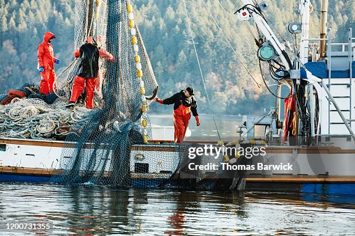 Crew of fishing boat hauling in net while fishing for salmon Crew of fishing boat hauling in net while fishing for salmon