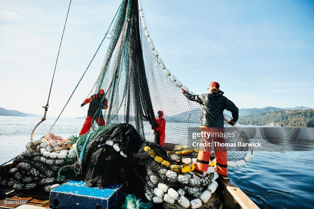 Crew members of purse seiner hauling in net while fishing for salmon