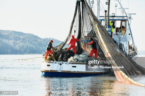 purse seiner crew organizing net while fishing for salmon - fisherman stock pictures, royalty-free photos & images