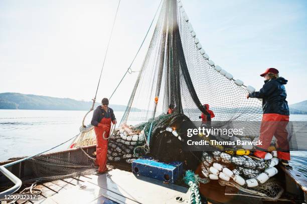 crew of purse seiner hauling and stacking net on deck of boat while fishing for salmon - fischerboot stock-fotos und bilder