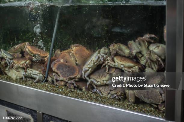 crabs in tank of water in chinatown - london aquarium stockfoto's en -beelden