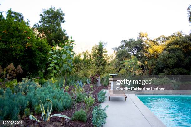 thriving cactus and succulent garden near 50's pool with lounge chair - teak wood material photos et images de collection