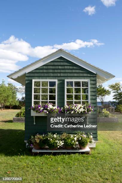 cute shed with windows and flower boxes against a perfect blue sky with a few puffy clouds - shed fotografías e imágenes de stock