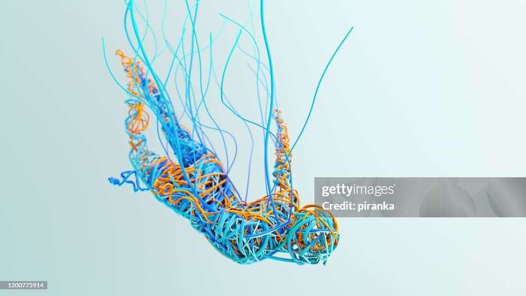 Cuerpo humano hecho de alambres