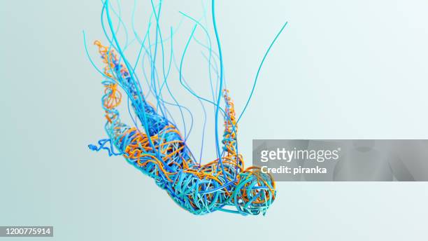 cuerpo humano hecho de alambres - 8k resolution fotografías e imágenes de stock