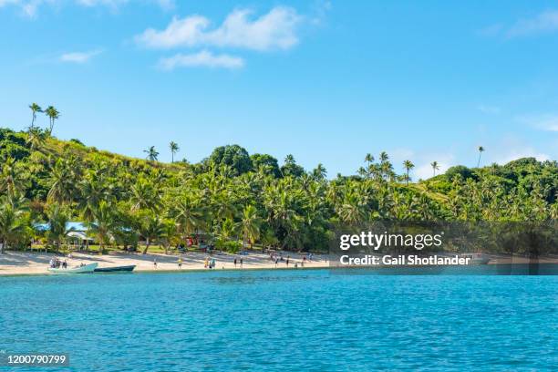 dravuni island beach shoreline - fiji people stock pictures, royalty-free photos & images