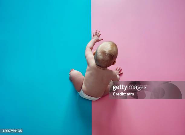 baby on blue and pink background - estereotipo fotografías e imágenes de stock