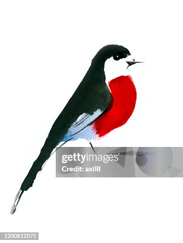 鳥, 春天 鳥, 春天