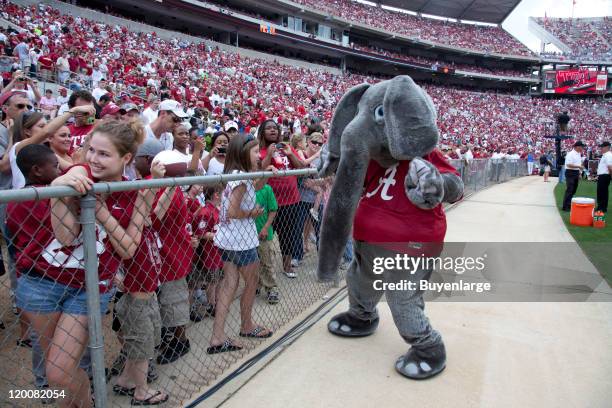 Fans attend A-Day, the annual University of Alabama spring football practice scrimmage game, Tuscaloosa, Alabama, 2010.
