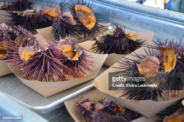 sea urchins ready to eat - sea urchin stockfoto's en -beelden