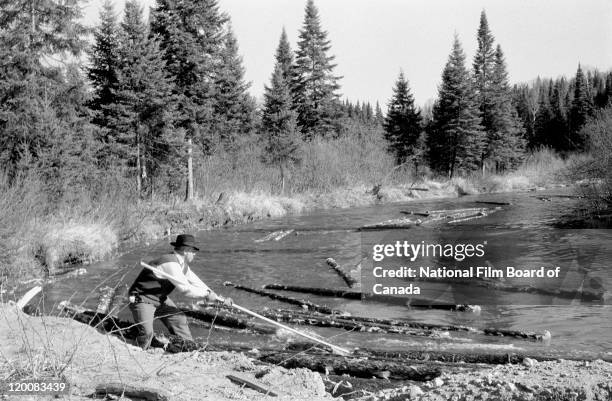 With his pike pole, a log driver is trying to untangle logs that are jammed on the banks of a river, Quebec , Canada, 1956. Photo taken during the...