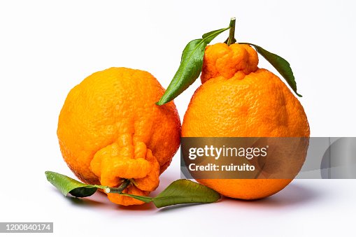 This is a fruit called Dekopon. This is a fruit called Dekopon.