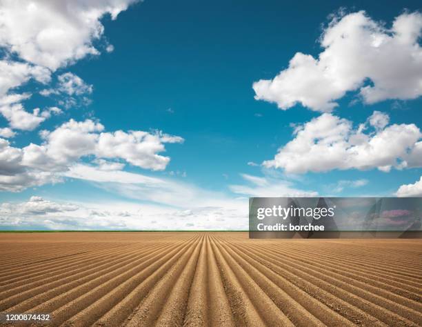 plowed field in spring - rural stock pictures, royalty-free photos & images