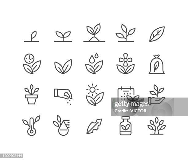 illustrazioni stock, clip art, cartoni animati e icone di tendenza di icone piante - serie linea classica - flora
