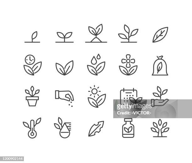 stockillustraties, clipart, cartoons en iconen met planten icons-classic line serie - bloem plant