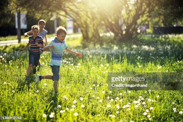 kids running in meadow full of dandelions - playing tag stock pictures, royalty-free photos & images