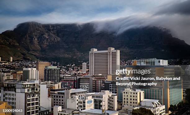 magnificent city view of skyline of cape town, south africa - cape town buildings stock pictures, royalty-free photos & images